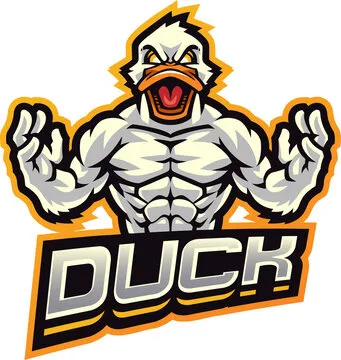 LPL 赛程表